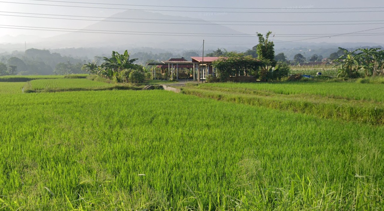 Agro wisata edukasi dan kegiatan alam di Bogor