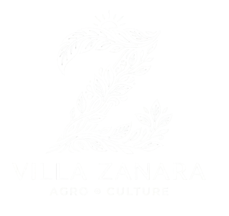 villazanara.com