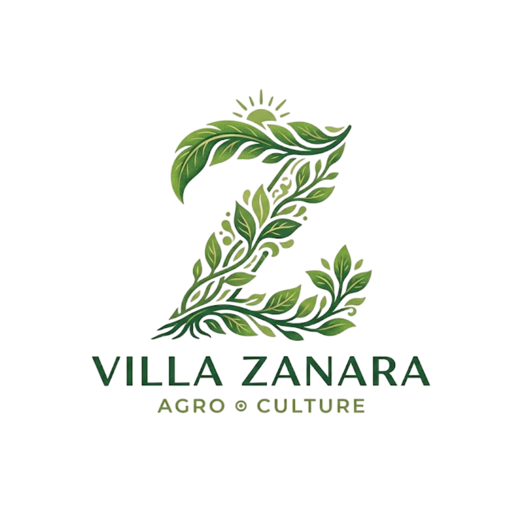 villazanara.com